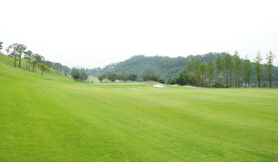 VALLEY 8HOLE 02